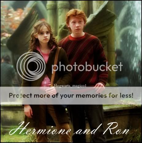 Photographes et images du ron et hermione 2