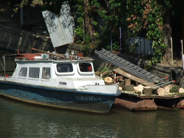 LUGOJEL 1 Timisoara0041