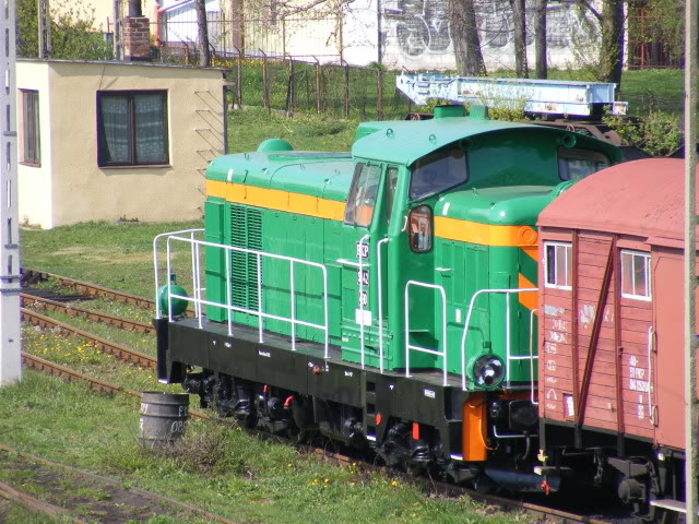 Locomotive straine Tren135