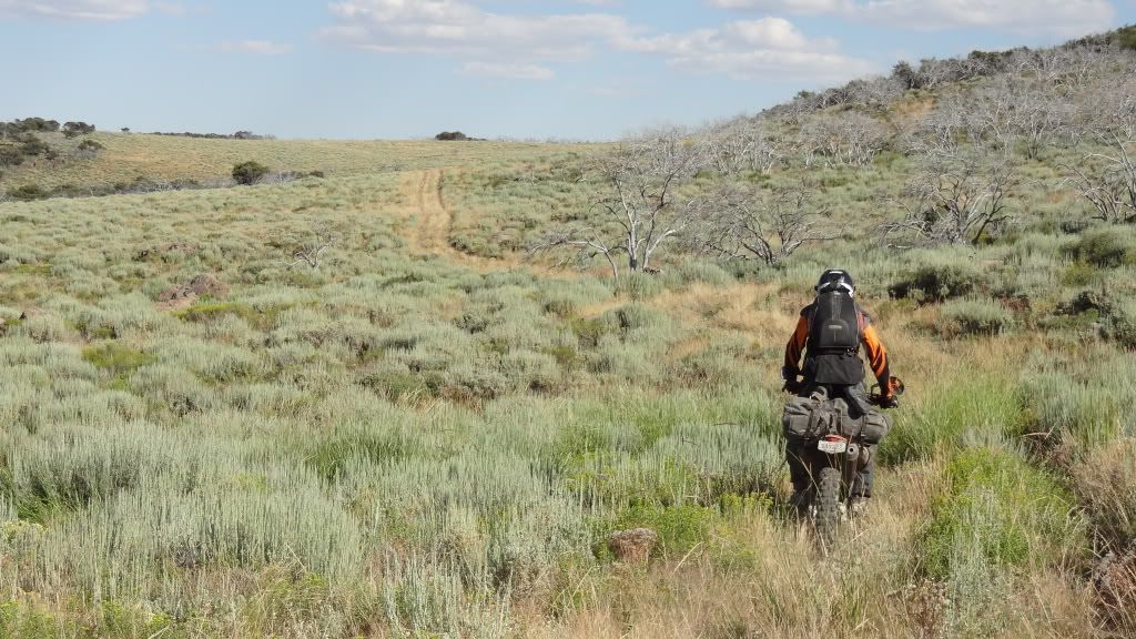 Riding through History - NV...A Land Lost in Time. DSC02554