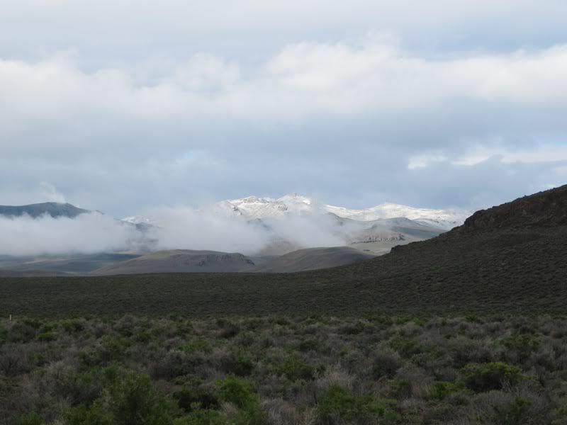 Adventure Is Out There! - 1500 Miles of Desert Fun. Mines, Hot Springs Etc. IMG_1128