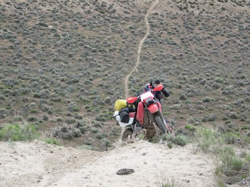 Adventure Is Out There! - 1500 Miles of Desert Fun. Mines, Hot Springs Etc. IMG_1188