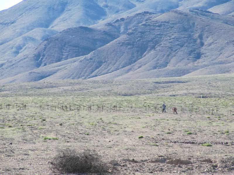 Adventure Is Out There! - 1500 Miles of Desert Fun. Mines, Hot Springs Etc. - Page 2 IMG_1547