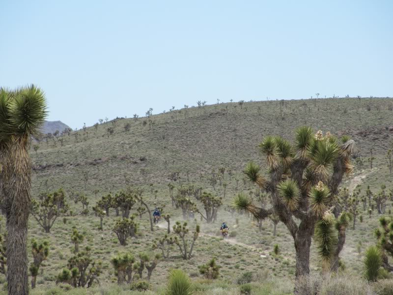 Just back from a 1500 Mile off road adventure - Fields OR to Death Valley CA and Back IMG_1647