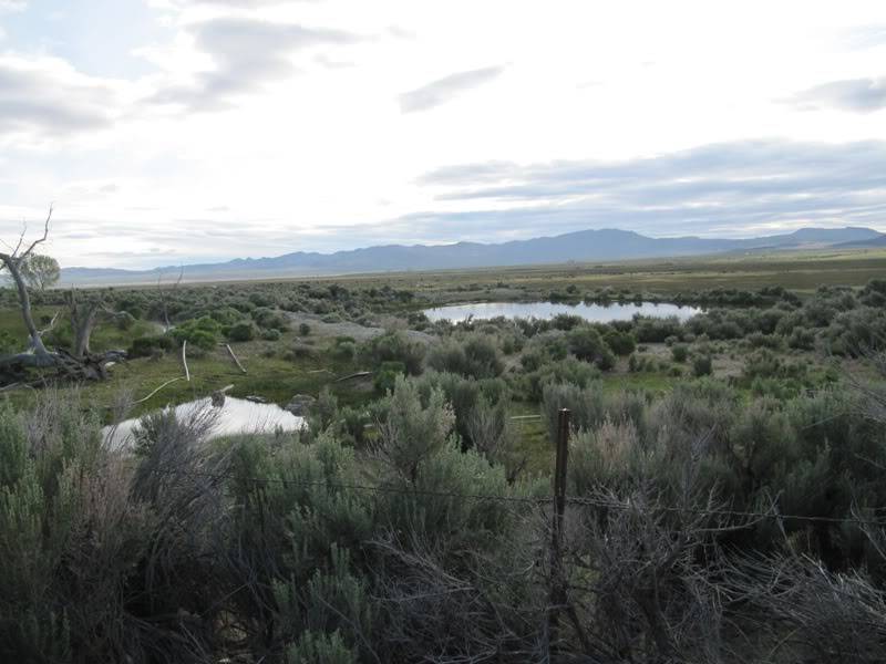 Adventure Is Out There! - 1500 Miles of Desert Fun. Mines, Hot Springs Etc. IMG_1812