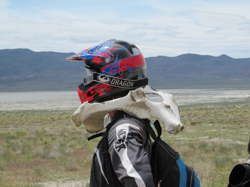 Adventure Is Out There! - 1500 Miles of Desert Fun. Mines, Hot Springs Etc. - Page 3 IMG_2149