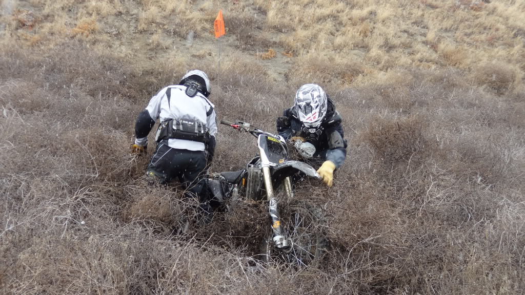 11-19-11 Juniper Forest Ride DSC04084