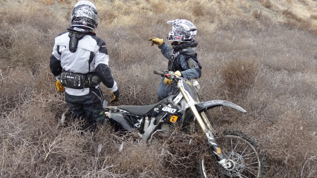 11-19-11 Juniper Forest Ride DSC04085