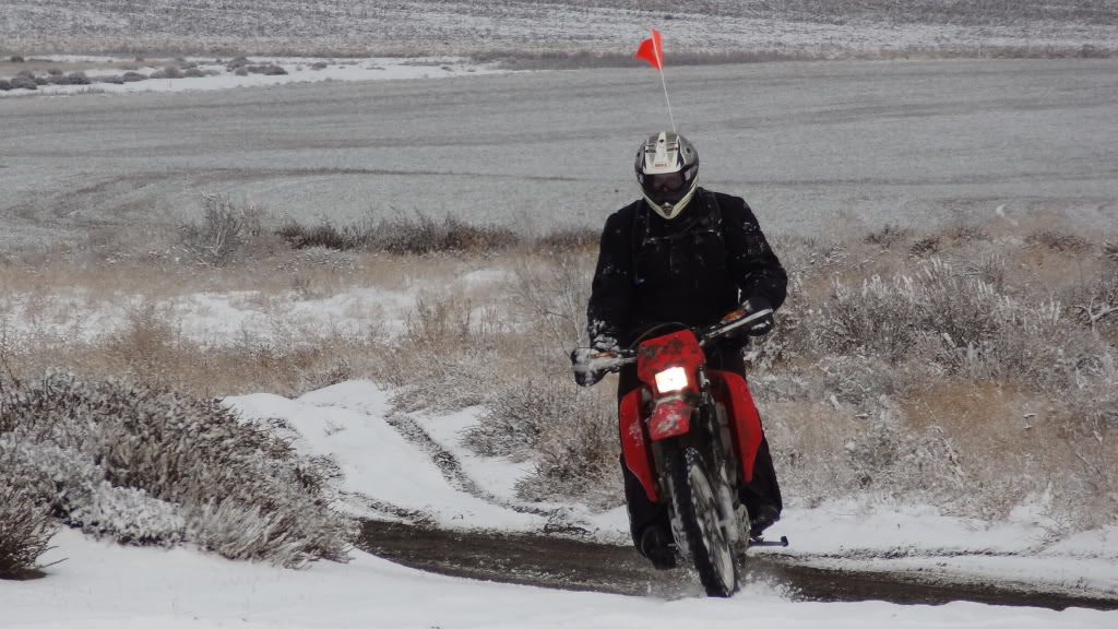 11-19-11 Juniper Forest Ride DSC04116