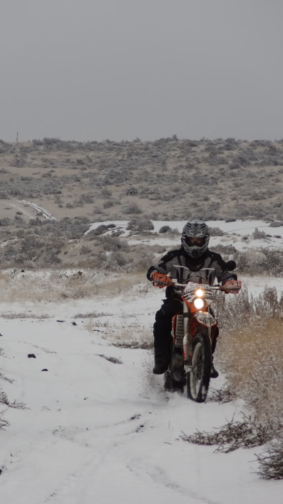 11-19-11 Juniper Forest Ride DSC04119