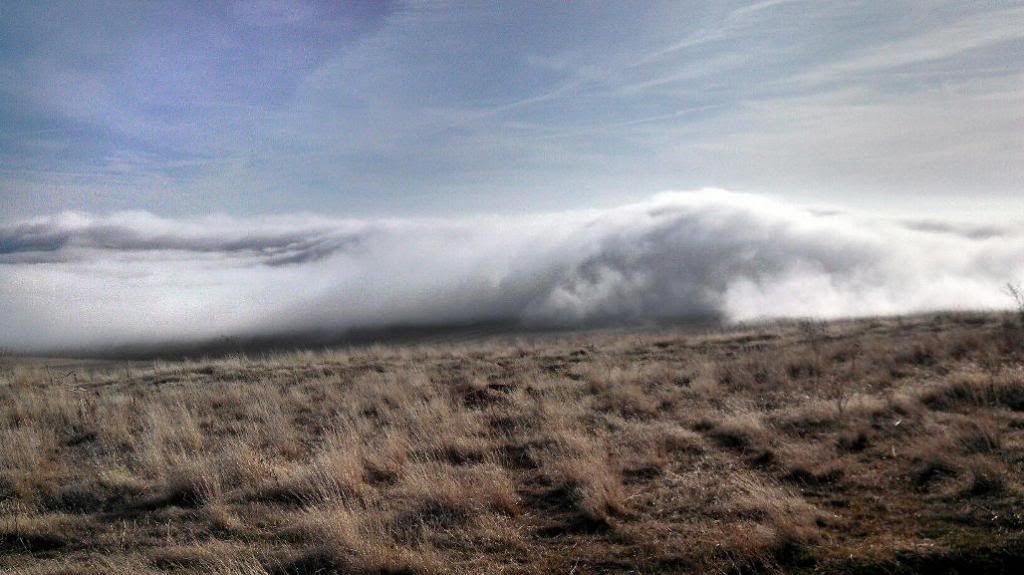 COLD New Years Ride......Mostly a great ride :-) ResizedImage_1388611747716