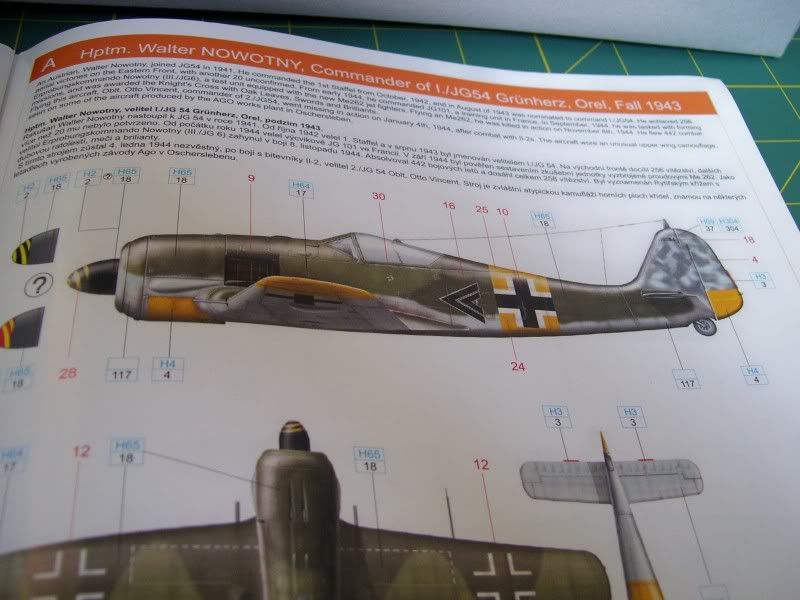 Focke Wulf 190 A-5 Walter N. Hasegawa 1/48 (Terminado) - Página 2 Avances7-2