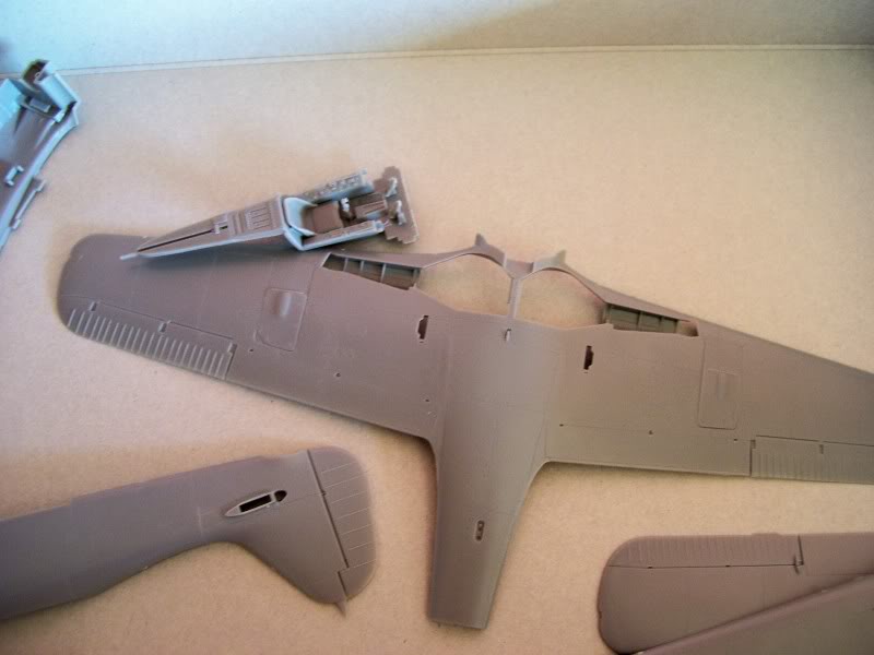 Focke Wulf 190 A-5 Walter N. Hasegawa 1/48 (Terminado) FockeA52