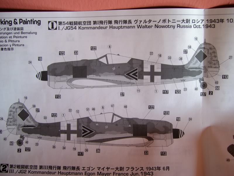 Focke Wulf 190 A-5 Walter N. Hasegawa 1/48 (Terminado) FockeA55