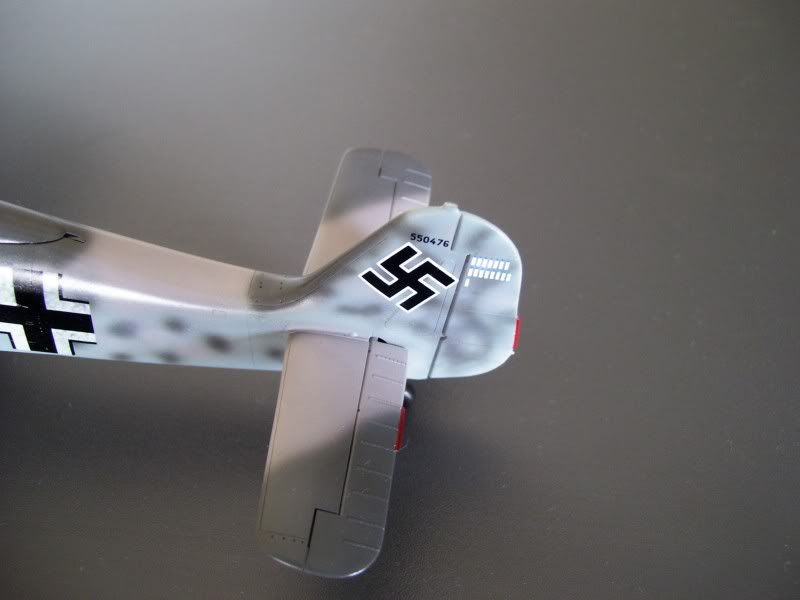 Focke Wulf 190 A-6 Georg Schott JG-1 (Terminado) - Página 2 Glossy5