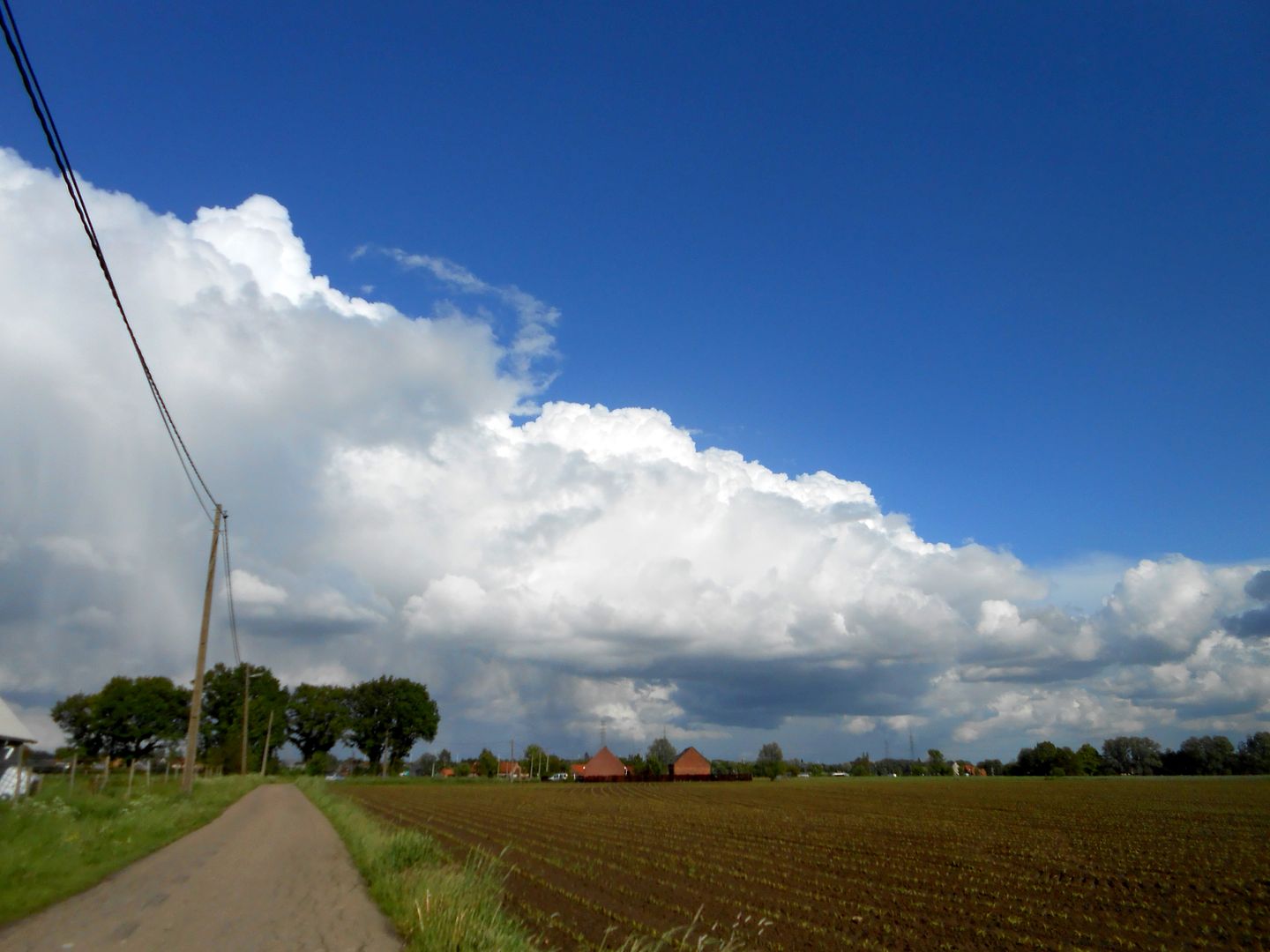 Galgeveld en Zevenbergen. DSCN7896_zpsf3757c12