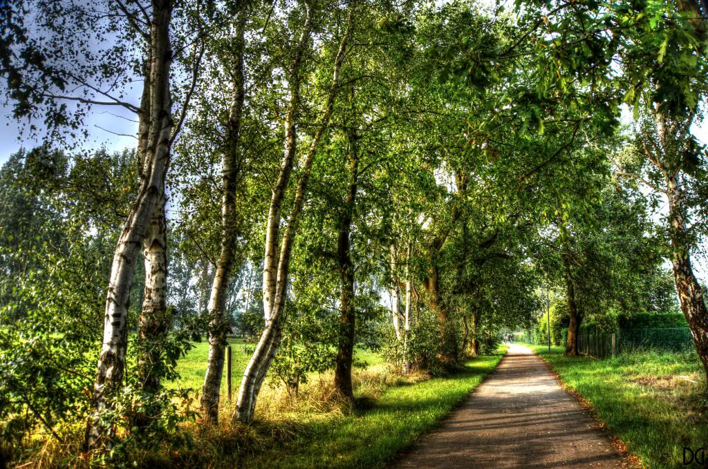 L205 Lier - Broechem [Bistweg - Maas en Moor] (Safi-spoor) (L205) Hdr-018049_50_51_tonemapped_zpse785be6e