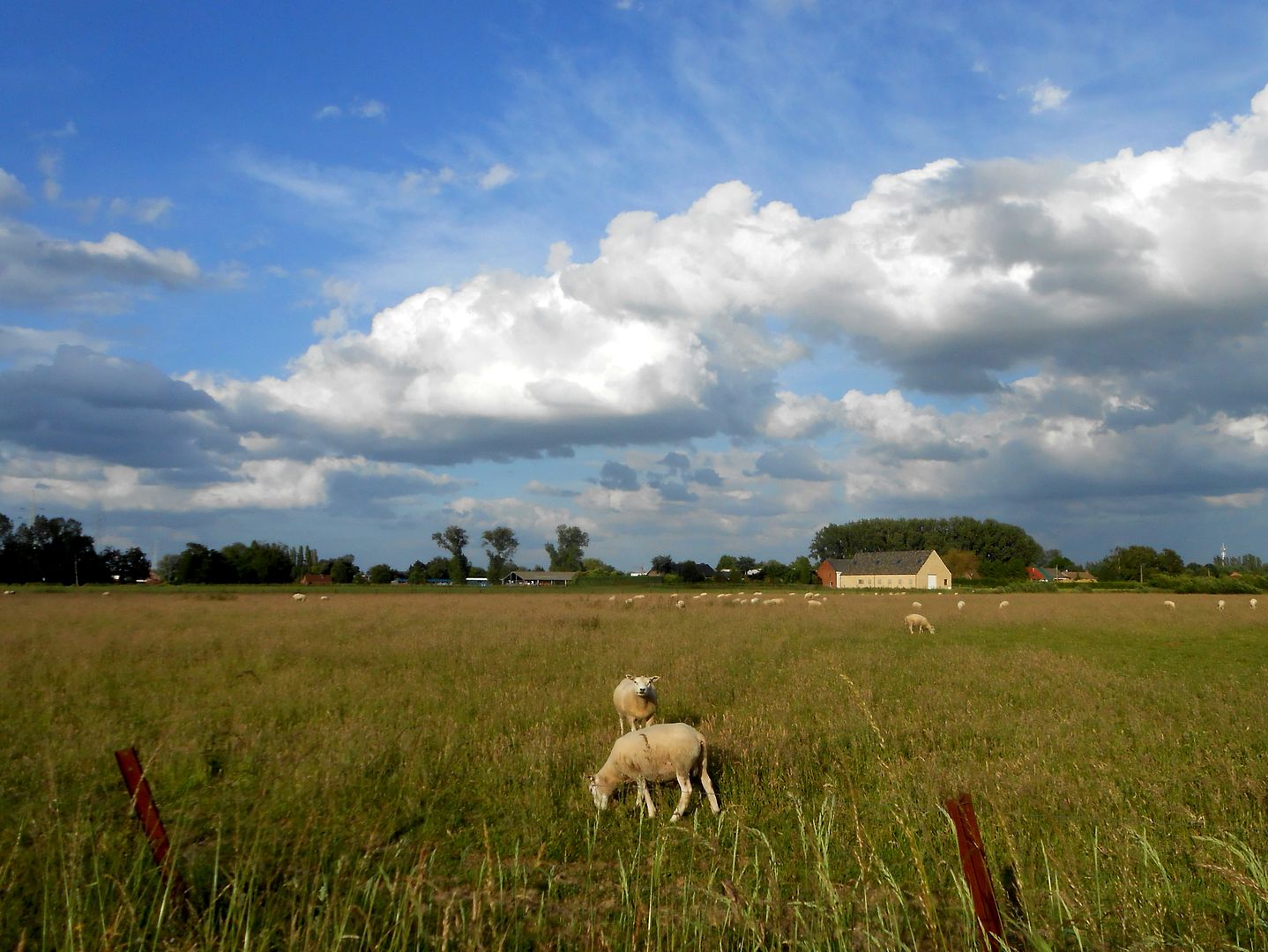 Wandeling rond Lier. DSCN0845_zpse3399e70