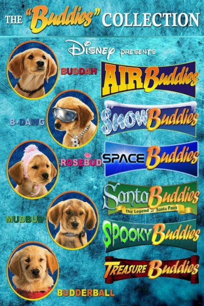 Air Buddies :June/13/2015 10fcbb20f28a8ca023f07d48448c15dc