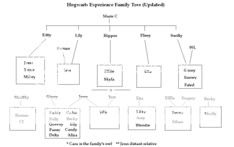 Hogwarts Experience's Family Tree - Page 3 UpdatedFamilyTree