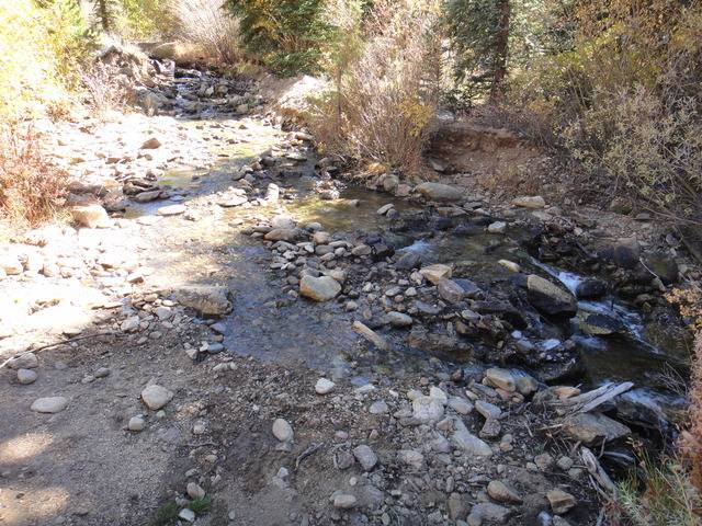 Colorado -- Sluicing Cache Creek -- 22 May 2017 DSC09029_zpsdi7jobhs