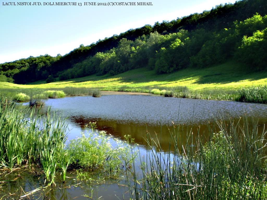 LACUL NISTOI PEISAJELATARAIUNIE20127