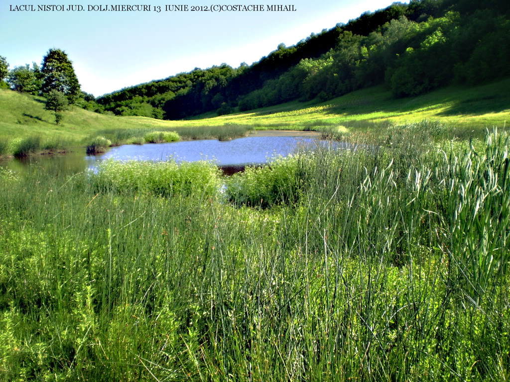 LACUL NISTOI PEISAJELATARAIUNIE20128