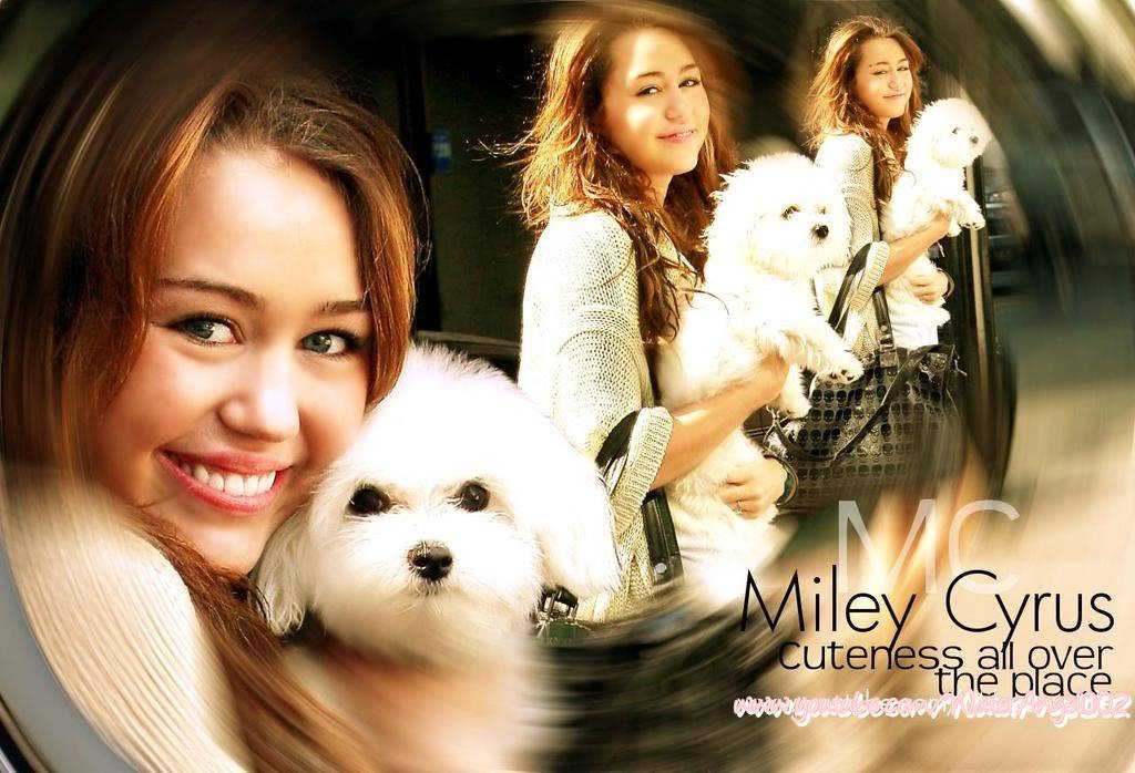 شلة .. Miley .. هنا  Bg-MileyCyrus3
