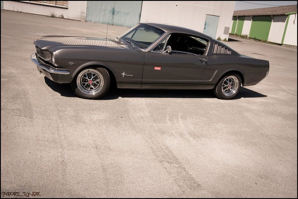 [SHOOT]Ford Mustang Fastback '65 Sanstitre-1-7