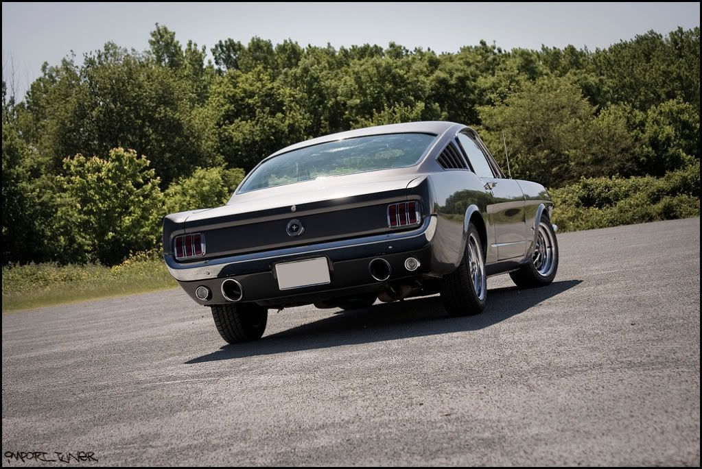 [SHOOT]Ford Mustang Fastback '65 Sanstitre-10-5