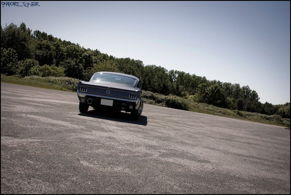 [SHOOT]Ford Mustang Fastback '65 Sanstitre-12-5