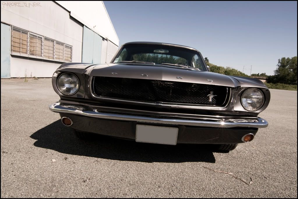 [SHOOT]Ford Mustang Fastback '65 Sanstitre-18-3