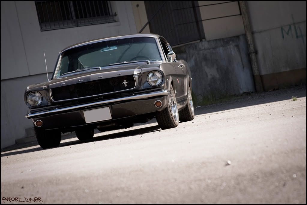 [SHOOT]Ford Mustang Fastback '65 Sanstitre-22-2