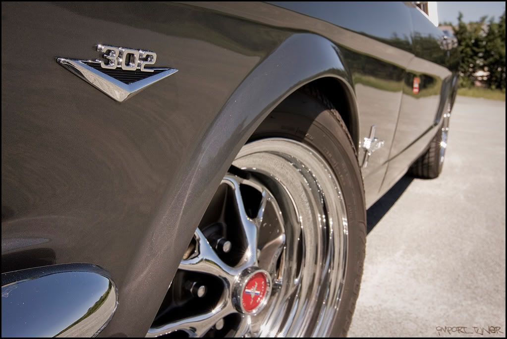 [SHOOT]Ford Mustang Fastback '65 Sanstitre-6-6