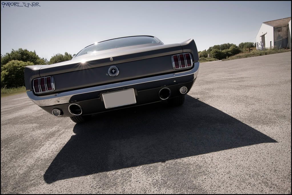 [SHOOT]Ford Mustang Fastback '65 Sanstitre-7-6