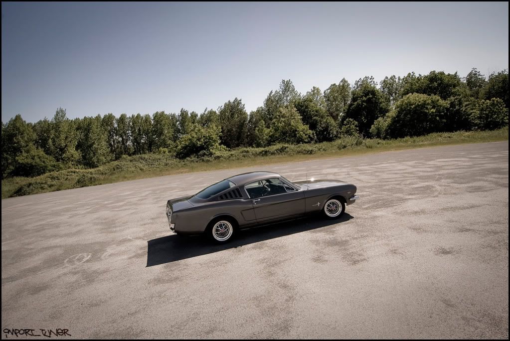 [SHOOT]Ford Mustang Fastback '65 Sanstitre-8-5