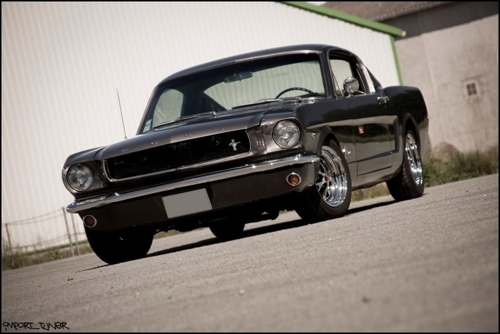 [SHOOT]Ford Mustang Fastback '65 Sanstitre-9-5