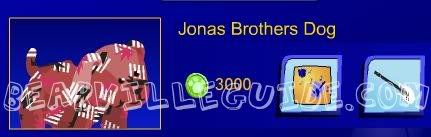 Jonas Brothers Dog Arrives! JBDog
