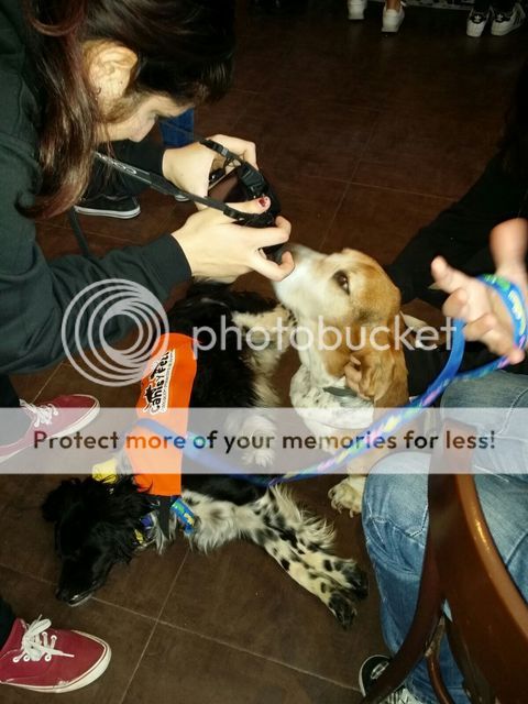 13 maart  - Canis y Felis met de honden naar de kroeg :D IMG-20160313-WA0014