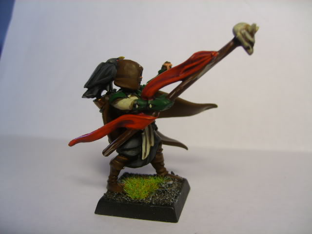 Wood elves Uusiawelffej003