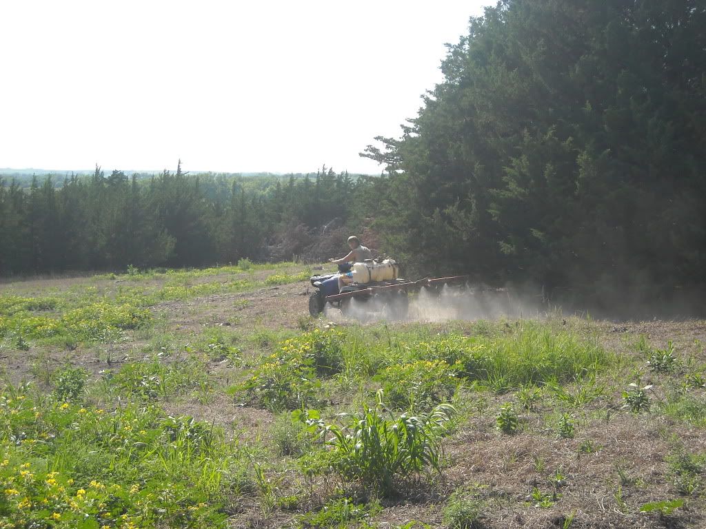 Food plot progress!!! DSCN0135