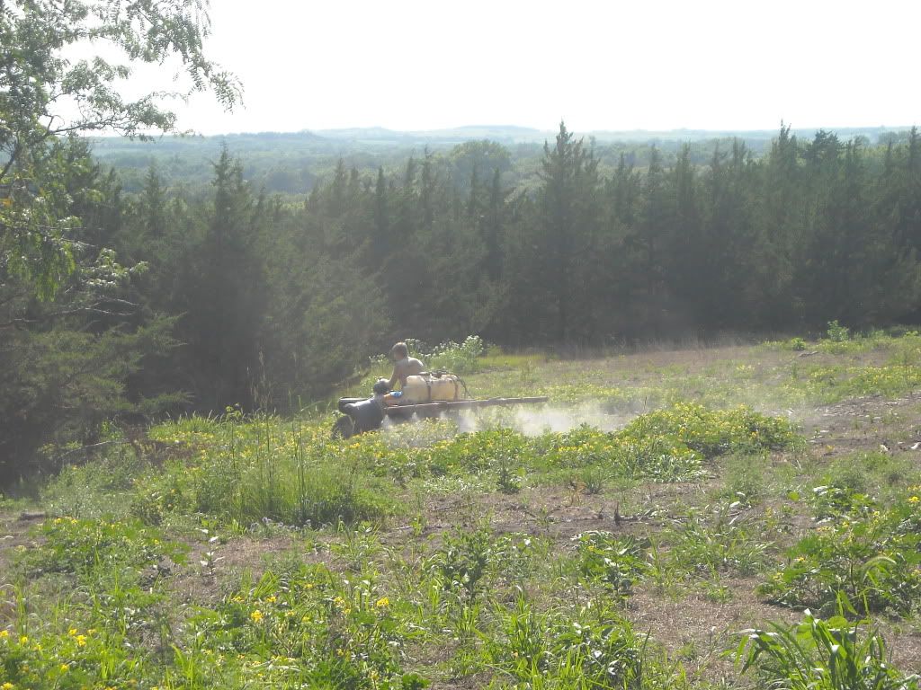 Food plot progress!!! DSCN0138