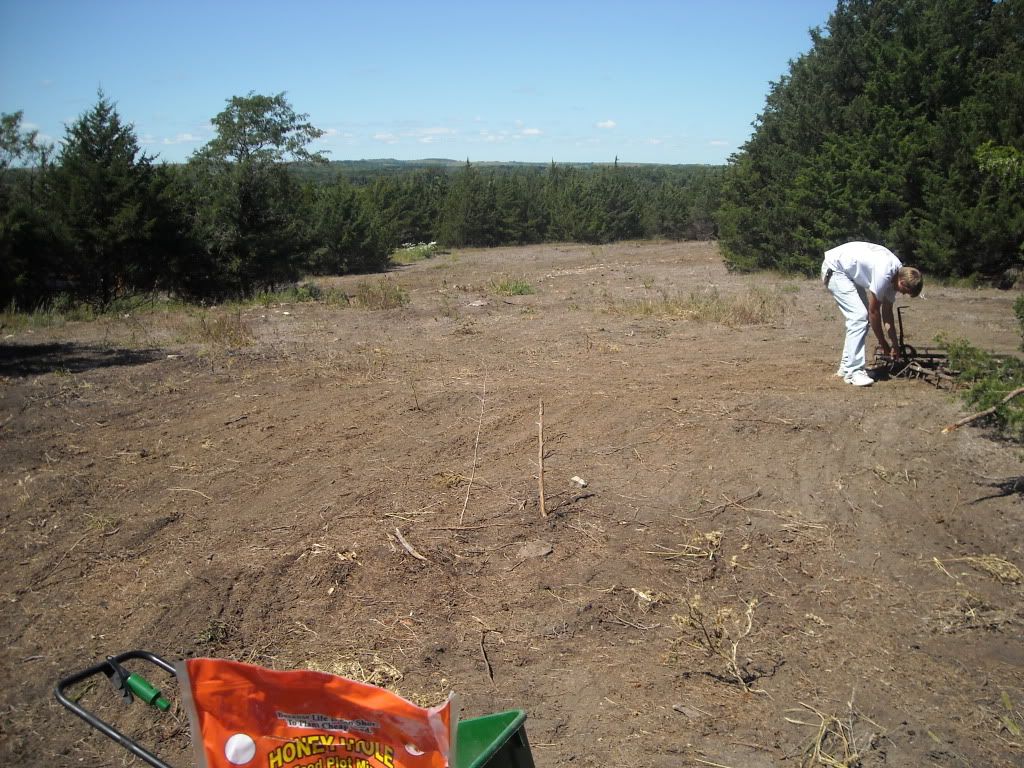 Food plot progress!!! DSCN0150