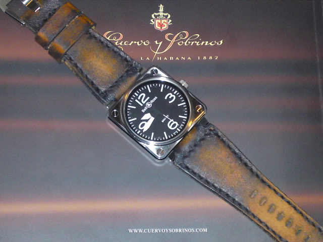 Sinn - Feu de vos bracelets Bell&Ross - Tome I DSC00835