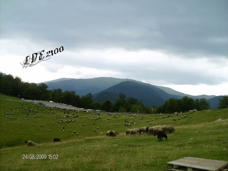 Poze de tot felul...fara trenuri - Pagina 2 Oi3