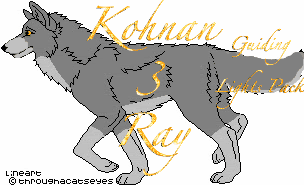 Kohnan the Survivor Moonsilence123434