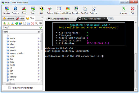 [Multi] Mobatek MobaXterm Professional Edition 6 6 4d8873e3550464114e469185d5e81637