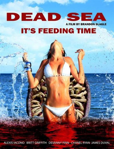 Dead Sea (2014) 720p BrRip AAC x264-VETO C5b9935522d6ba8c9b8bdca20f7d5012