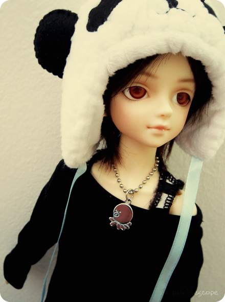 Volks MSD & SDC Class P_mitten