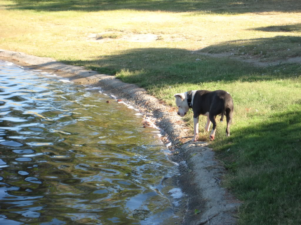 Today at the Park/Lake (Pic Heavy) IMG_0689